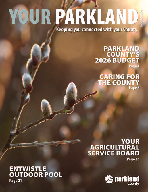Cover image of YourParkland Monthly - Spring 2026 edition featuring pussy willows on a golden, sunlit background